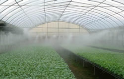 latest company news about Ultrasonic humidifiers used for planting industry  0